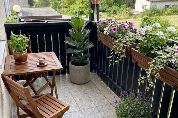 Wohnung mit Balkon mieten in 8243 Pinggau (Bild 1)