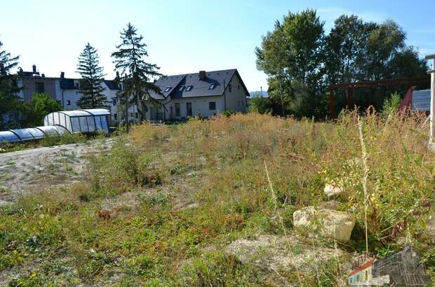 Grundstück mieten in 2482 Münchendorf (Bild 3)