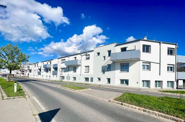 Terrassenwohnung kaufen in 2201 Gerasdorf (Bild 1)