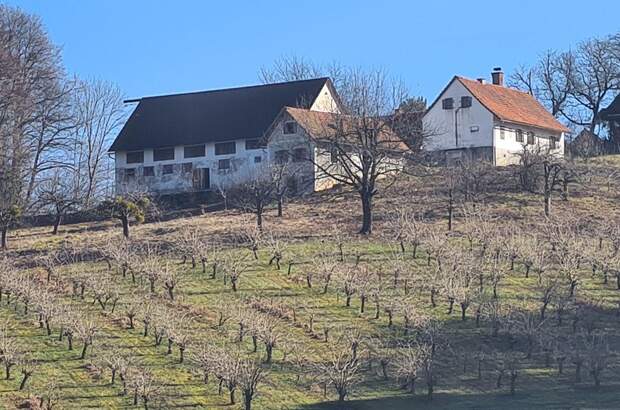 Haus kaufen in 8093 Sankt Peter