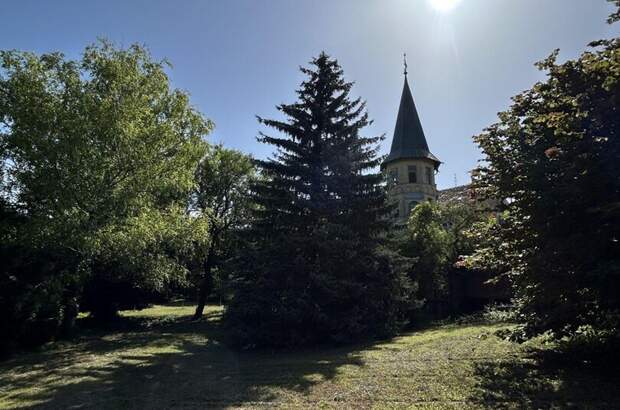 Grundstück kaufen in 2380 Perchtoldsdorf (Bild 3)