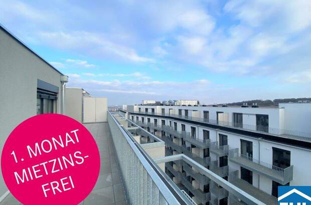 Terrassenwohnung mieten in 1100 Wien (Bild 1)