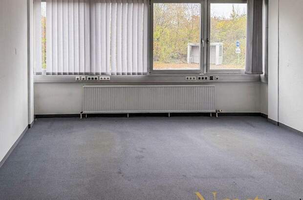 Gewerbeobjekt mieten in 4600 Thalheim (Bild 4)