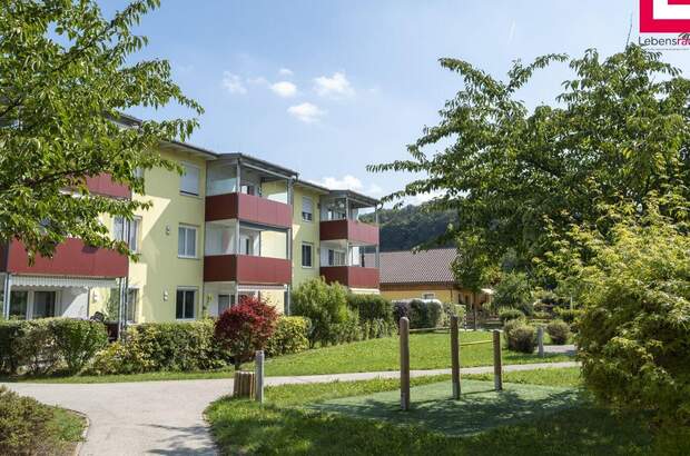 Wohnung mieten in 4600 Schleißheim