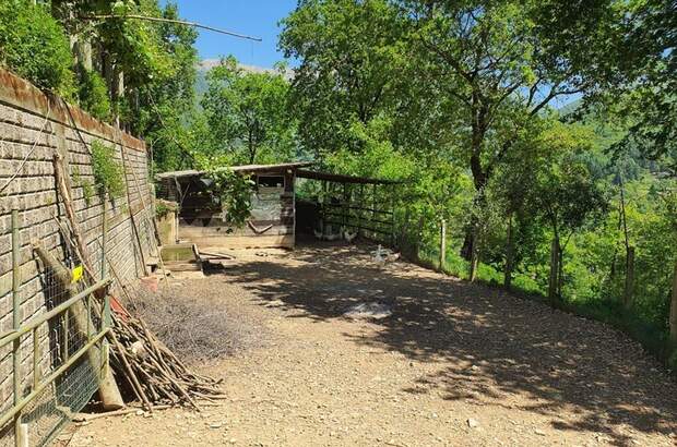 Haus kaufen in 54016 Ripola (Bild 4)