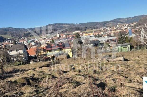 Grundstück kaufen in 8580 Pichling (Bild 5)