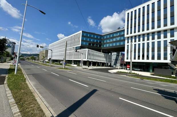 Gewerbeobjekt mieten in 4020 Linz (Bild 3)