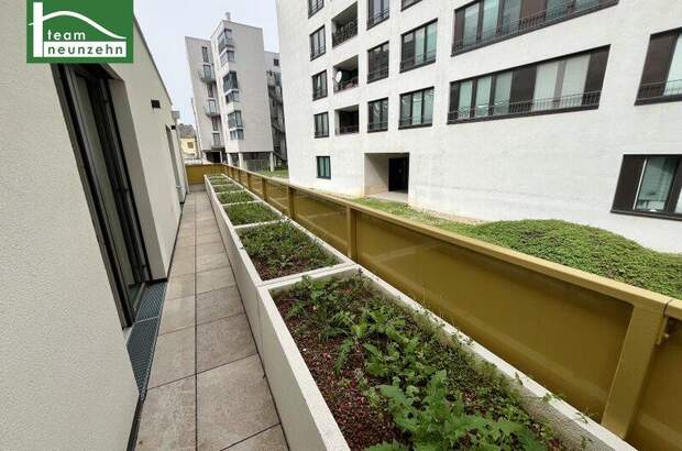 Terrassenwohnung kaufen in 1220 Wien (Bild 4)