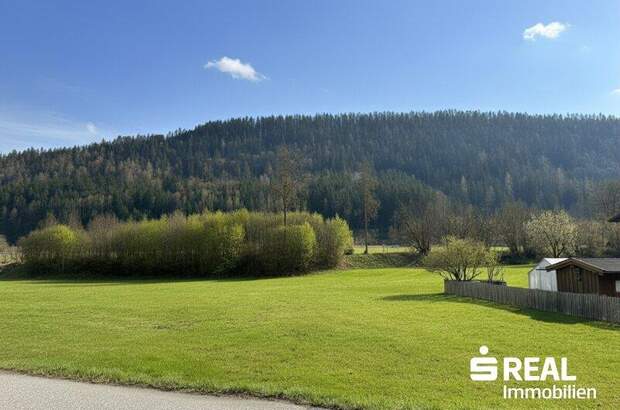 Grundstück kaufen in 5350 Strobl (Bild 4)