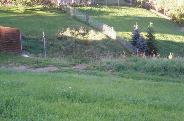 Gewerbeobjekt mieten in 4120 Neufelden (Bild 2)