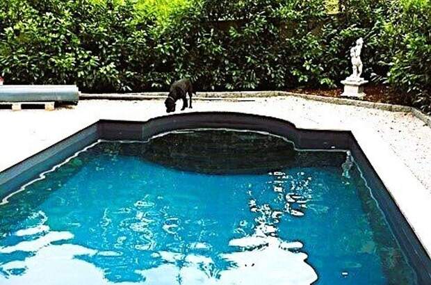 Haus mit Garten kaufen in 5322 Hof (Bild 3)