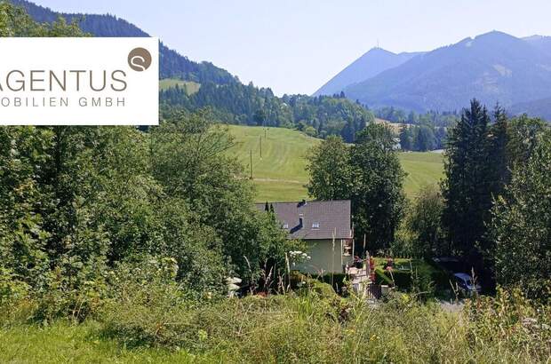 Grundstück kaufen in 8685 Steinhaus