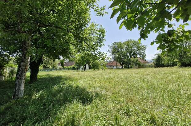 Grundstück kaufen in 4060 Leonding (Bild 1)