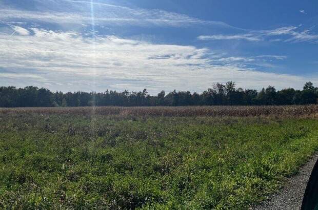 Grundstück kaufen in 8141 Premstätten (Bild 4)