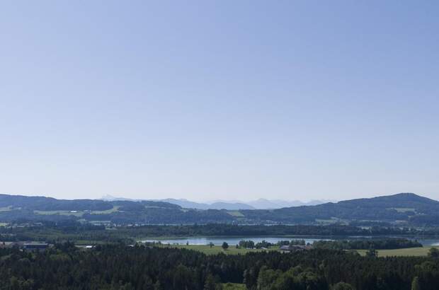 Lager kaufen in 5165 Berndorf (Bild 1)