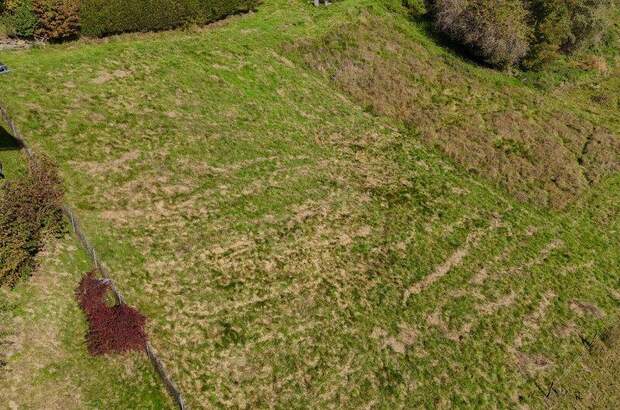 Grundstück kaufen in 9556 Liebenfels (Bild 3)
