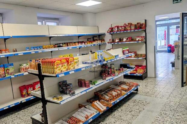 Gewerbeobjekt mieten in 4600 Thalheim (Bild 4)