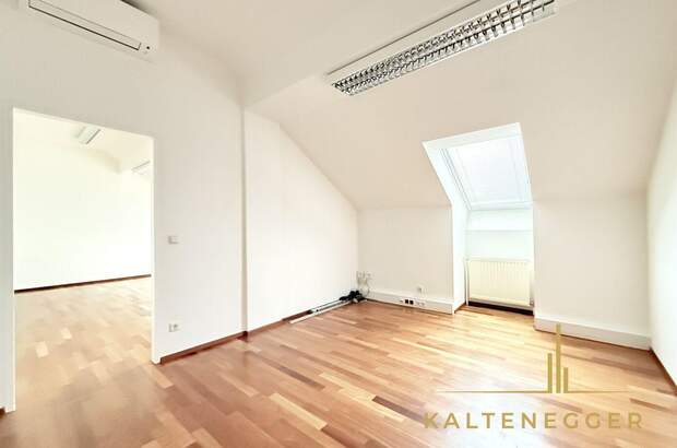 Gewerbeobjekt mieten in 1190 Wien (Bild 3)