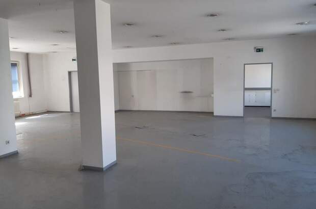 Gewerbeobjekt mieten in 3580 Horn (Bild 4)