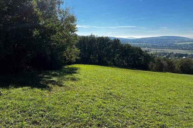 Grundstück kaufen in 3434 Tulbing (Bild 2)