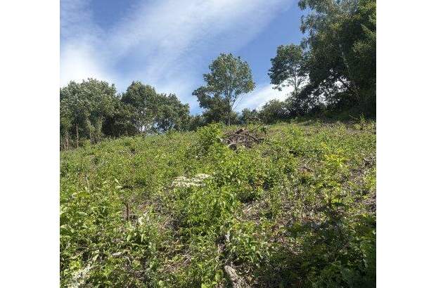 Grundstück kaufen in 3400 Klosterneuburg (Bild 3)