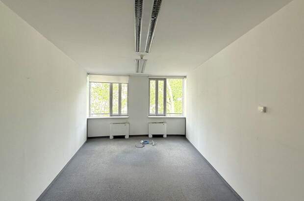 Gewerbeobjekt mieten in 2340 Mödling (Bild 5)