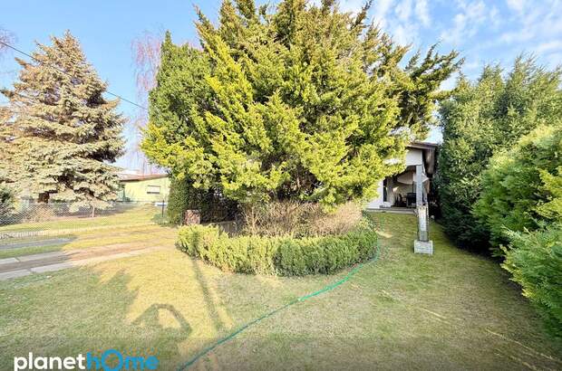 Einfamilienhaus kaufen in 1220 Wien (Bild 2)