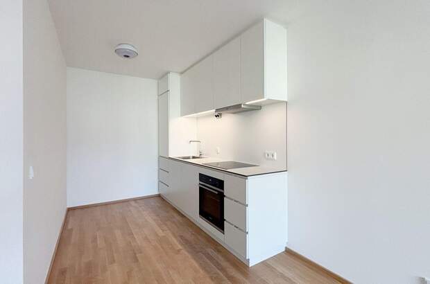 Mietwohnung in 2340 Mödling (Bild 1)