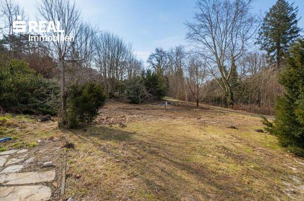 Grundstück kaufen in 2371 Hinterbrühl (Bild 3)