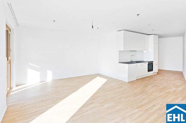 Terrassenwohnung mieten in 1100 Wien (Bild 1)