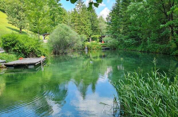 Terrassenwohnung kaufen in 3341 Ybbsitz (Bild 1)