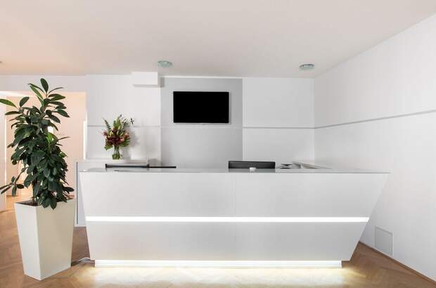 Gewerbeobjekt mieten in 1010 Wien (Bild 2)