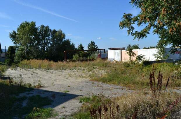 Grundstück kaufen in 2482 Münchendorf (Bild 4)