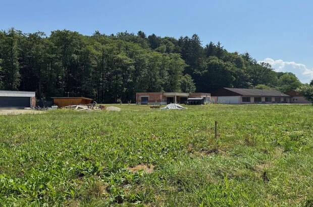 Grundstück kaufen in 8421 Wolfsberg (Bild 1)