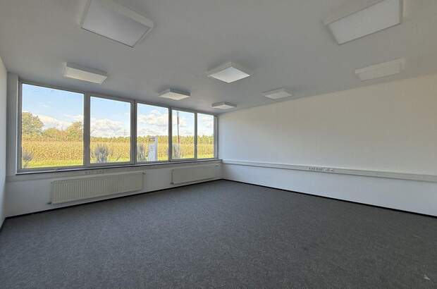 Gewerbeobjekt mieten in 8200 Gleisdorf (Bild 5)
