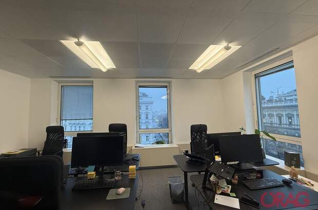 Gewerbeobjekt mieten in 1010 Wien (Bild 5)