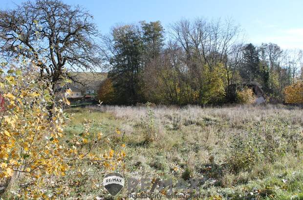 Grundstück kaufen in 2116 Nodendorf (Bild 1)