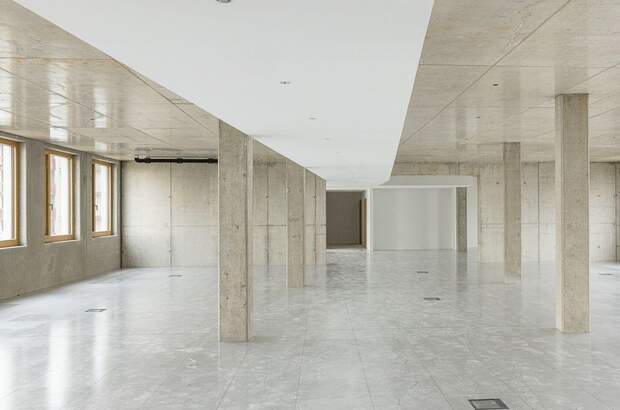 Gewerbeobjekt mieten in 1230 Wien (Bild 5)