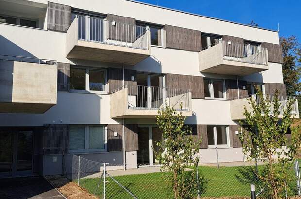 Wohnung mieten in 3040 Neulengbach (Bild 4)