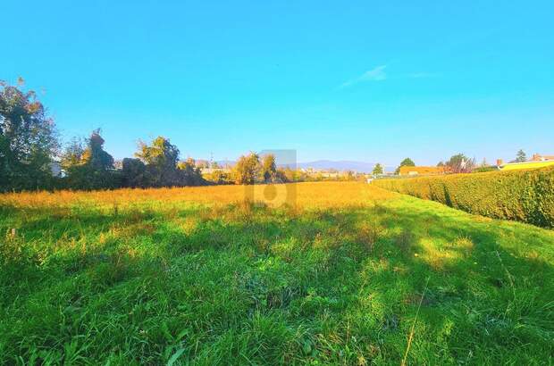 Gewerbeobjekt kaufen in 2500 Baden