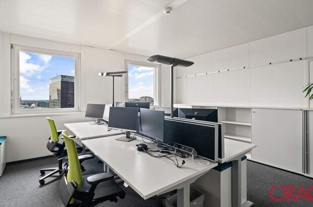 Gewerbeobjekt mieten in 1020 Wien (Bild 4)