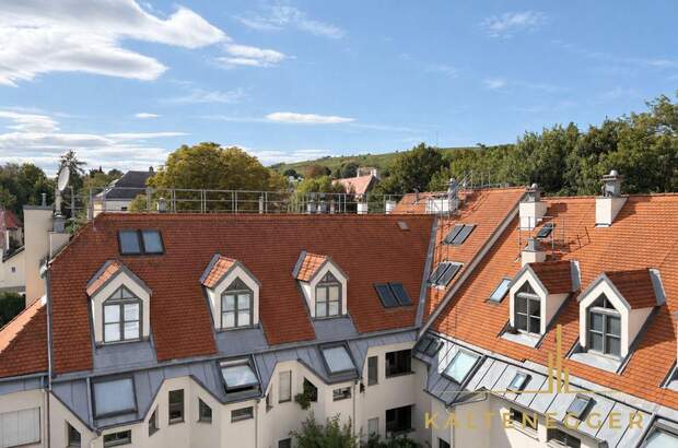 Gewerbeobjekt mieten in 1190 Wien (Bild 4)