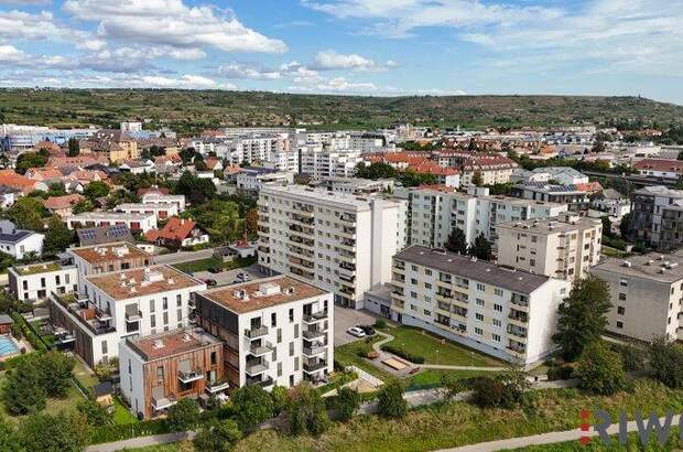 Terrassenwohnung mieten in 3500 Krems (Bild 3)