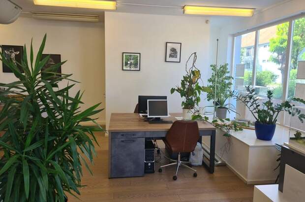 Gewerbeobjekt mieten in 8010 Graz (Bild 3)