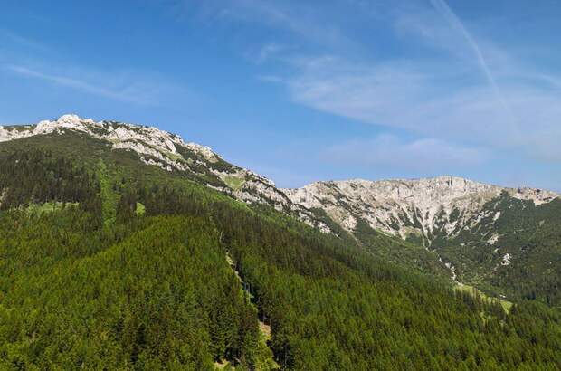 Gewerbeobjekt kaufen in 2651 Prein (Bild 1)