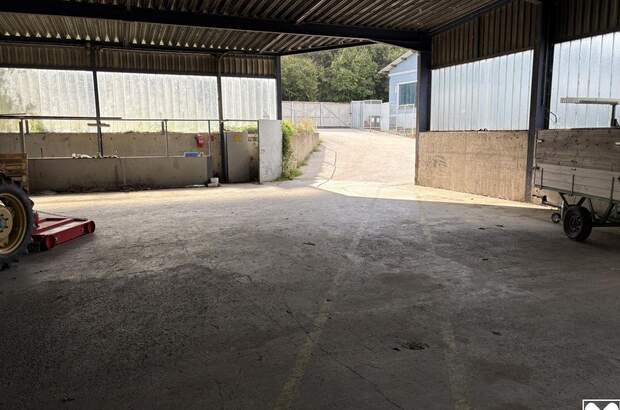 Gewerbeobjekt mieten in 7012 Zagersdorf (Bild 3)