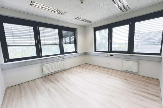 Gewerbeobjekt mieten in 8055 Graz (Bild 3)