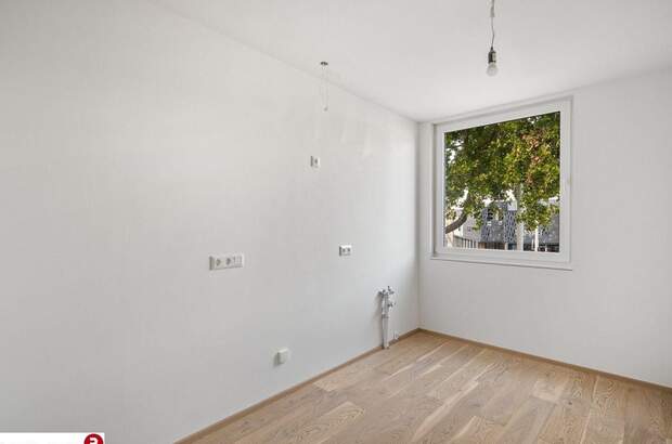Wohnung kaufen in 2514 Traiskirchen (Bild 3)
