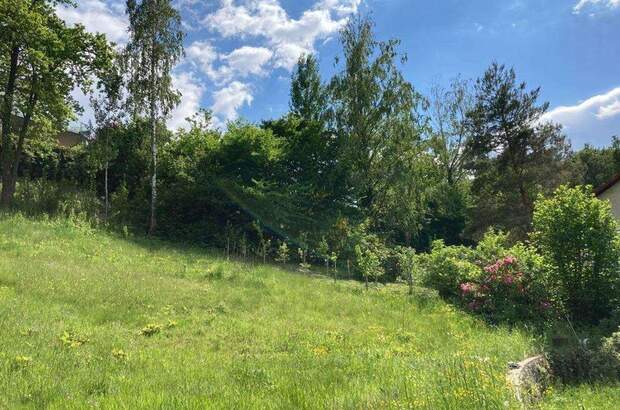 Grundstück kaufen in 8043 Graz (Bild 1)