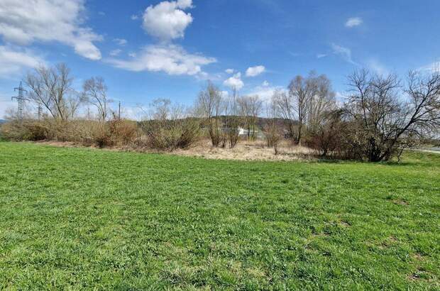 Grundstück kaufen in 4850 Timelkam (Bild 5)